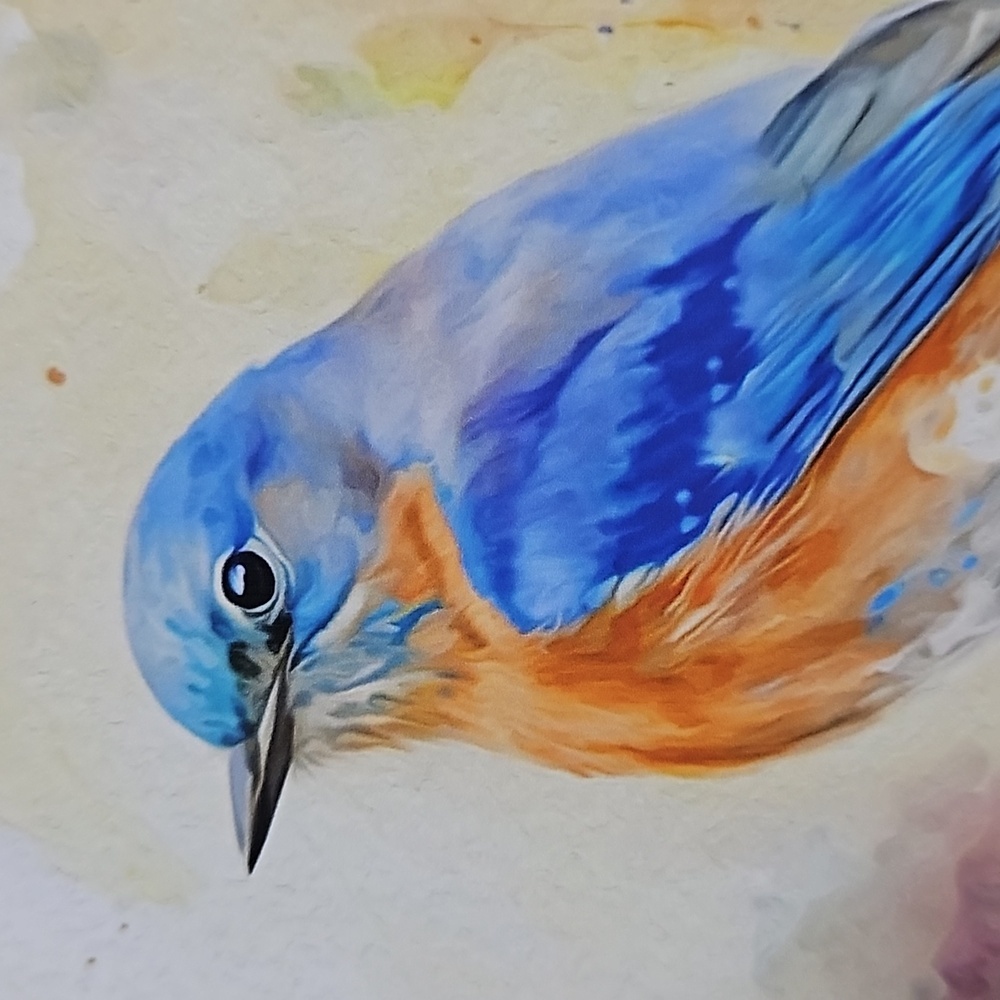 4x6 Eastern Bluebird Watercolor Oil Painting Art Print - Picture 2 of 6